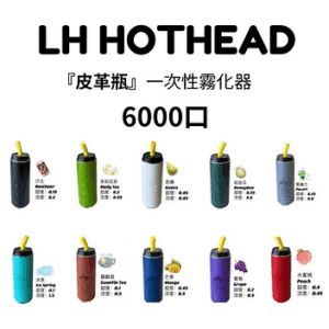LH HOTHEAD皮革瓶6000口拋棄式電子煙可充電一次性